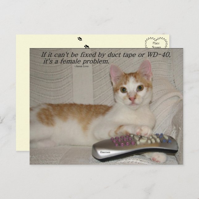 Funny Quote Cat Postcard  (Front/Back)