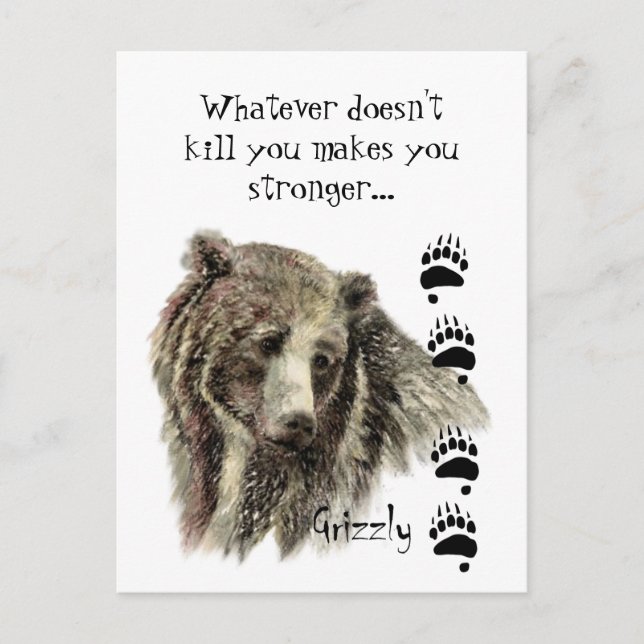 Funny Quote Grizzly Bear Kill you Humour Postcard (Front)
