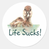Funny Quote, Life Sucks, Angry Duck, Bird Square S