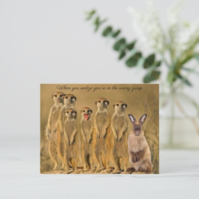 Funny Rabbit Meerkat Post Card Picture (Standing Front)
