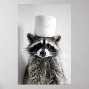 Funny Racoon Bathroom Wall Art, Cute Racoon with Poster