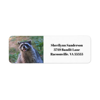 Funny Racoon Photograph
