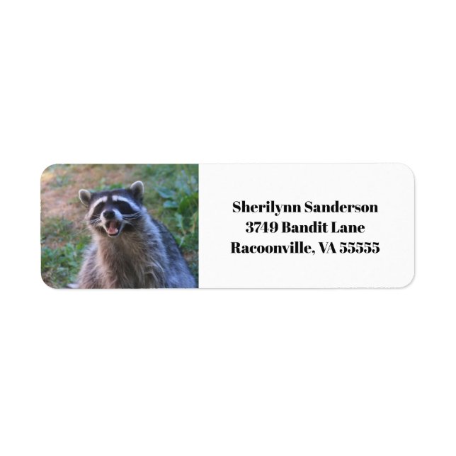 Funny Racoon Photograph (Front)