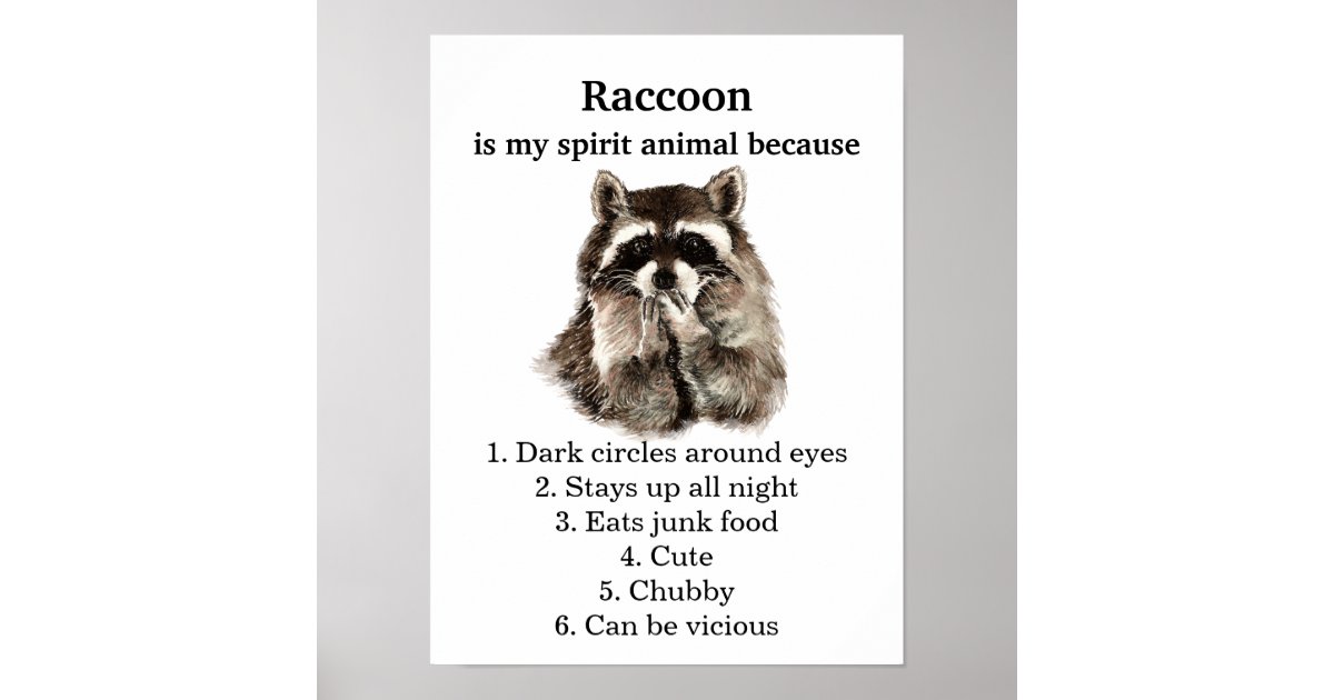 Funny Racoon Spirit Animal  Humour  Poster  Zazzle co uk