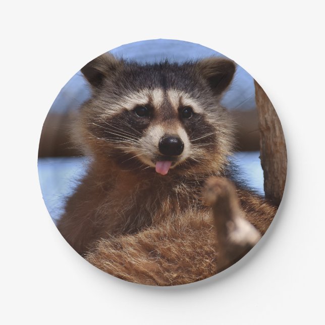 Funny Racoon Sticking It's Tongue Out Paper Plate (Front)