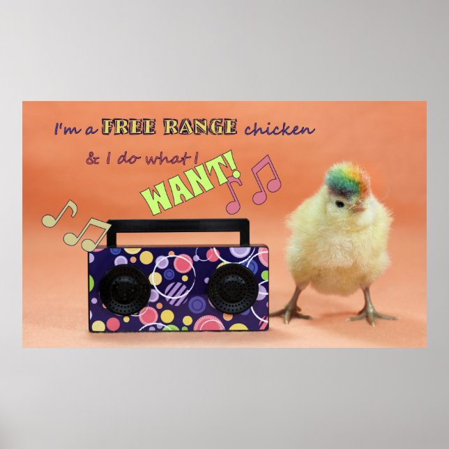 Funny Rainbow Chicken Poster (Front)