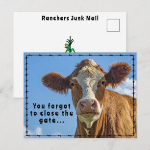 Funny Ranchers Junk Mail Country Western Tales Postcard