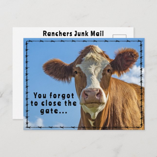 Funny Ranchers Junk Mail Country Western Tales Postcard (Front/Back)