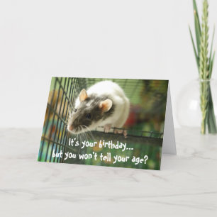 Funny rat photo birthday card