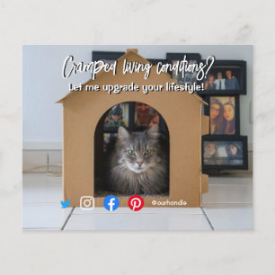 funny real estate cramped living cat in house flyer