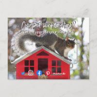 funny real estate cramped living squirrel house