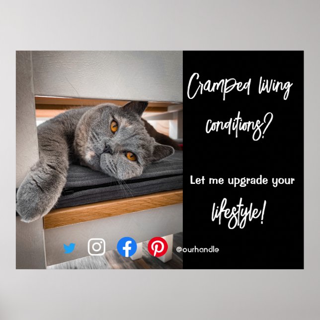 funny real estate postcard cramped living cats poster (Front)