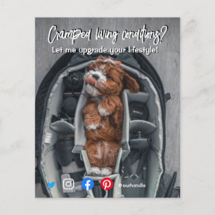 funny real estate postcard cramped living dog flyer