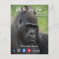 funny real estate postcard long face ape