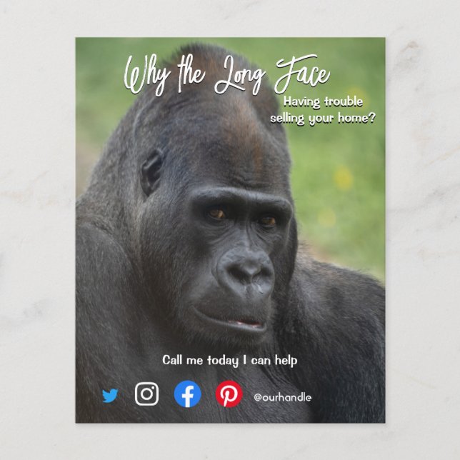 funny real estate postcard long face ape flyer (Front)