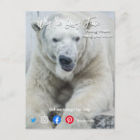 funny real estate postcard long face white bear