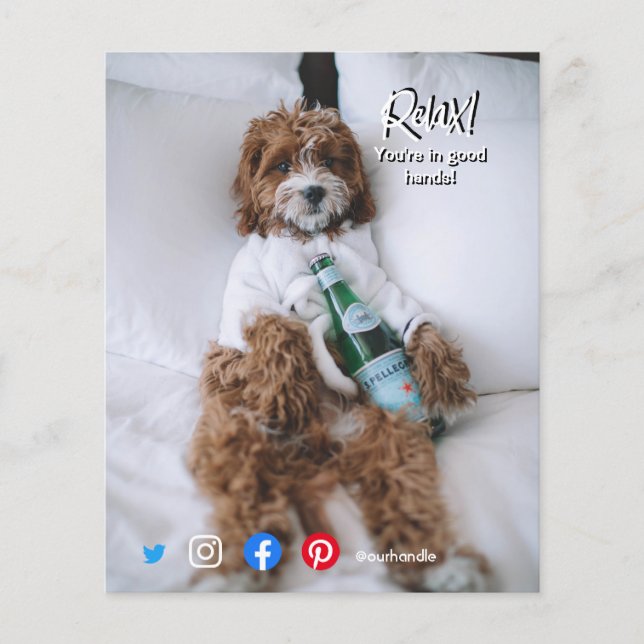 funny real estate postcard relax bed dog flyer (Front)