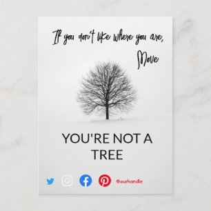 funny real estate postcard you're not a tree