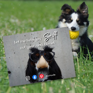 funny real estate sniff out your next home dog postcard