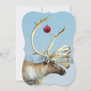 Funny Reindeer Ornament Christmas card