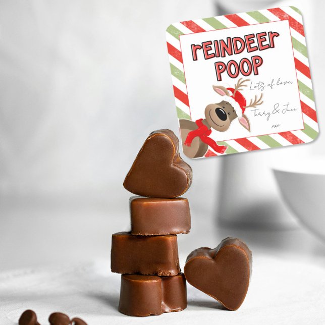 Funny Reindeer Poop Christmas Favour Holiday Bag  Square Sticker (Creator Uploaded)