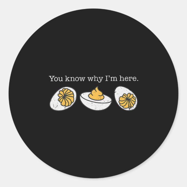 Funny Retro Thanksgiving You Know Why I'm Here Dev Classic Round Sticker (Front)