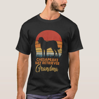Funny Retro Vintage Sunset Chesapeake Bay Retrieve T-Shirt
