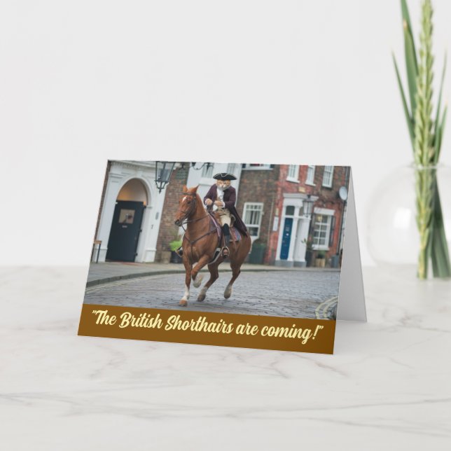 Funny Revolutionary War Tabby Card (Front)