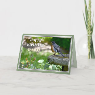 Funny Robin Birthday Card