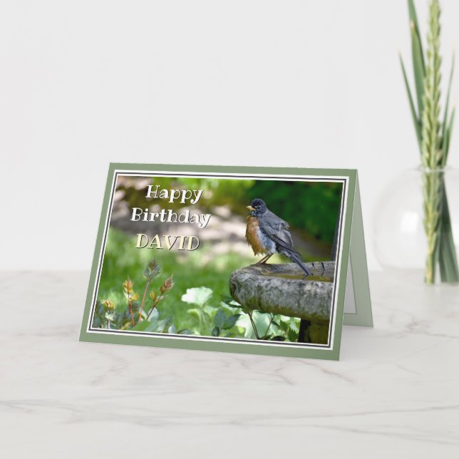 Funny Robin Birthday Card (Front)