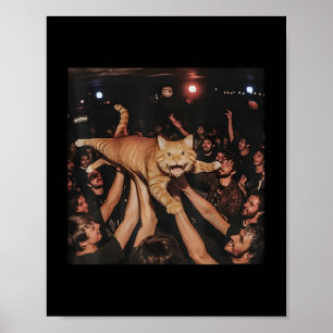 Funny Rock Show Cat Meme Cute Tabby Kitten Crowd S Poster