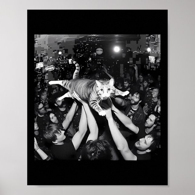 Funny Rock Show Cat Meme Cute Tabby Kitten Crowd S Poster (Front)