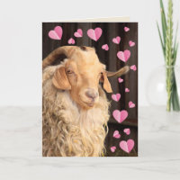 Funny Romantic Goat Valentine's Day