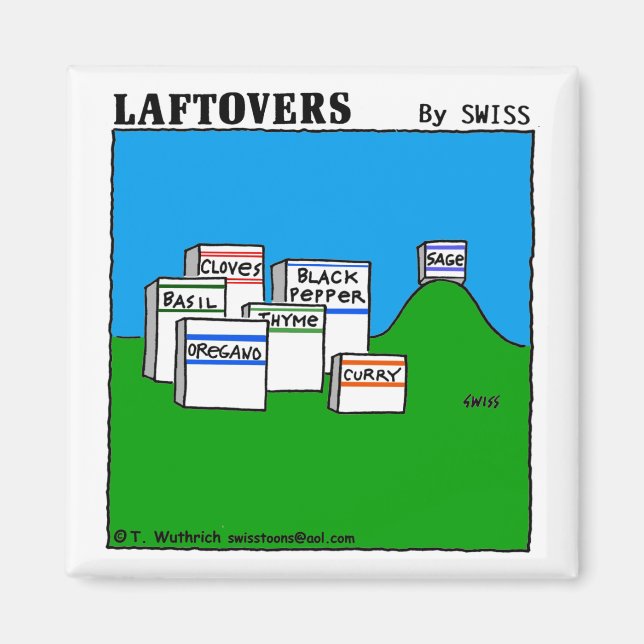 Funny Sage Spice Spices Laftovers Foodie Cartoon Magnet (Front)