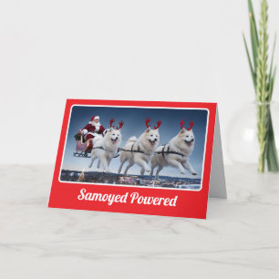 Funny Samoyed Dog Christmas Holiday Card