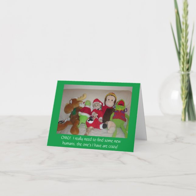 Funny Santa Cat Has Crazy Humans Christmas Card (Front)