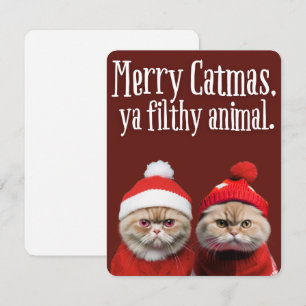 Funny Santa Cats Holiday Greeting Card