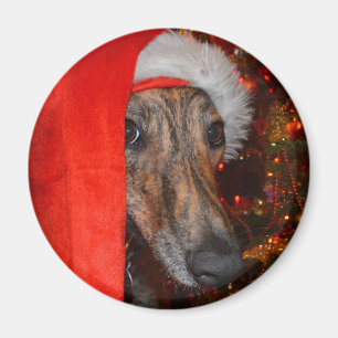 Funny Santa Dog -Lurcher Greyhound Christmas Hat Magnet