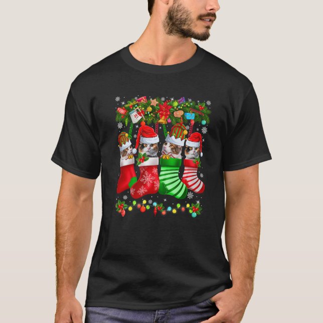 Funny Santa Elf Calico Cats In Christmas Socks Xma T-Shirt (Front)