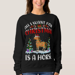 Funny Santa Hat All I Want For Christmas Is A Hors Sweatshirt