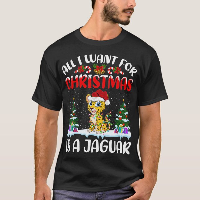 Funny Santa Hat All I Want For Christmas Is A Jagu T-Shirt (Front)
