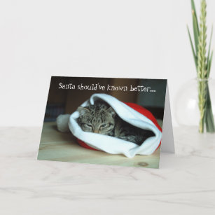 Funny Santa Hat Cat Christmas Card