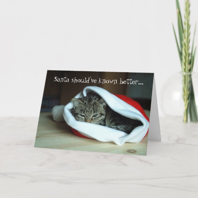 Funny Santa Hat Cat Christmas Card (Front)
