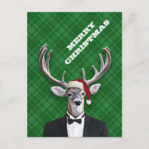 Funny Santa Hat Christmas Deer Green Plaid Holiday Postcard