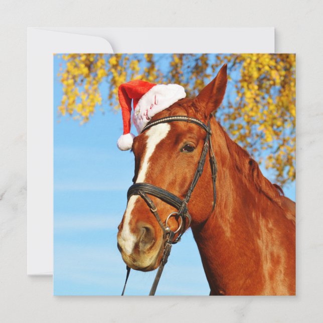 Funny Santa Hat Horse Christmas Holiday Card (Front)