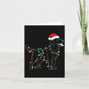 Funny Santa Labrador Retriever Christmas Lights Do Card