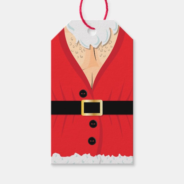 Funny Santa Novelty Christmas Gift Tags (Front)
