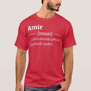 Funny Sarcastic Amir  T-Shirt