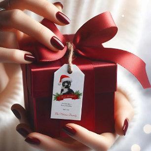 Funny Sarcastic Cat Santas Hat Christmas Gift Tags