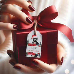 Funny Sarcastic Cat Santas Hat Christmas Gift Tags